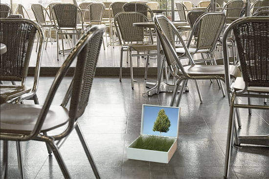 cafe_paysage