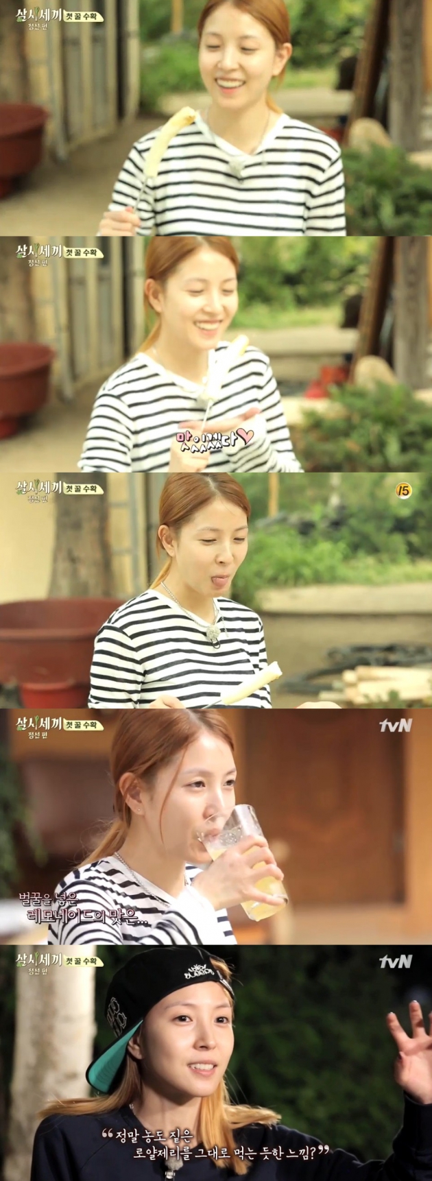 삼시세끼 보아 / 삼시세끼 보아 사진=tvN 방송 캡처