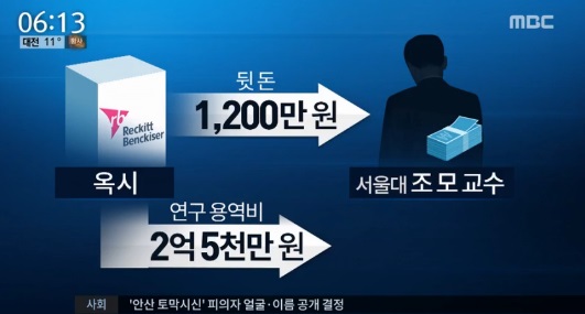 옥시 보고서 조작 서울대 교수 (사진=해당방송 캡처) 