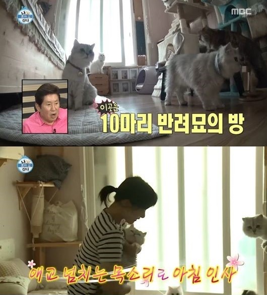 나혼자산다 선우선 (사진=방송캡처)