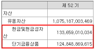 현금성 자산 현황