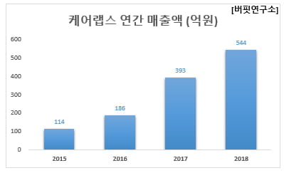 케어랩스 연간 매출액 (억원)