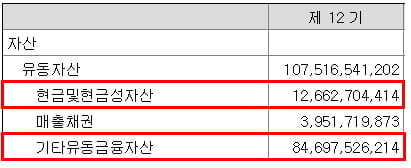 인크로스 현금성 자산 현황