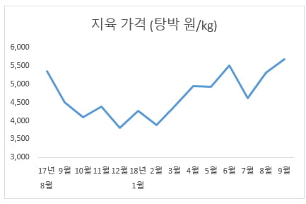 지육 가격