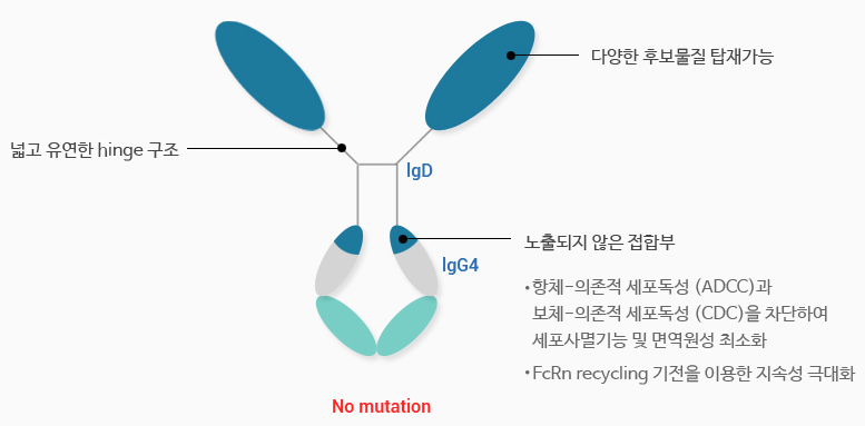 hyFc? 구조