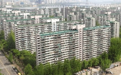 잠실·목동 '급매', 압구정·개포 '최고가'…재건축 '희비'