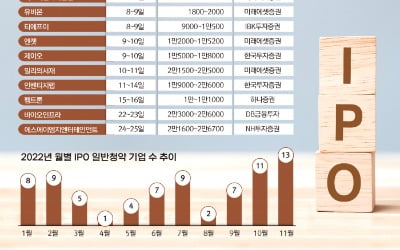 중소형사, 연내 상장 '막차 러쉬'…대어급 IPO는 내년 첫...