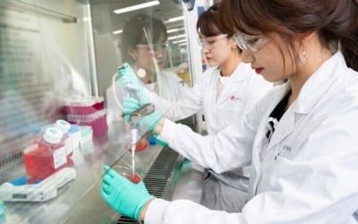 '속전속결' LG화학 진단사업 매각…이번에도 임직원 반발이 변수