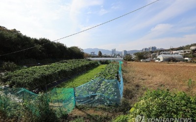 "그린벨트 풀린다" … 내곡지구·화정별빛마을 '개발 기대'