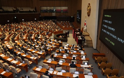 국회 문턱 앞에 선 '내수부양 입법' 27개, 野에 달렸다