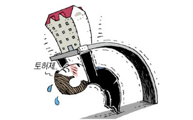 "똘똘한 한 채 유지되면 백약이 무효"…토허제, 우려 많았다