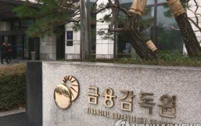 금감원, 정치테마주 단속 강화
