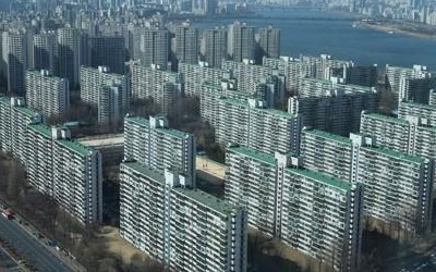 잠실 엘리트레파는 언제까지 잘 나갈까? 백家사전