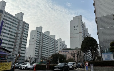 분당 들썩이자…용인 수지 뛰고 처인구는 '뚝'