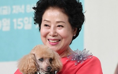 선우용여 "미국서 식당 뺏기고, 곗돈 사기당해" 눈물 고백