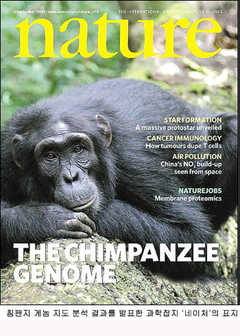  침팬지 DNA지도 인간과 96% 일치