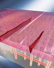 [Science] 플라스틱 스스로 자기몸을 치료하네