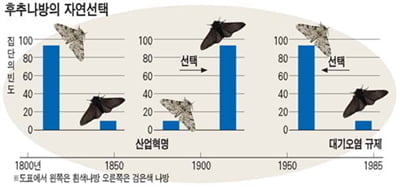  연세대 2008학년도 다면사고형 논술시험 2차 예시문제