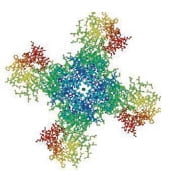 [Science] 단백질의 비밀, 생명의 신비가 서서히 풀린다