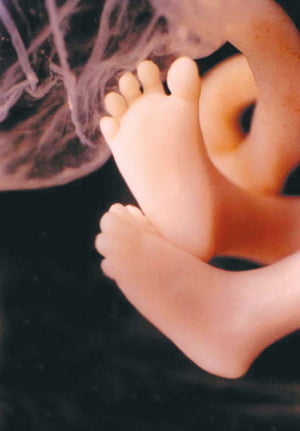 [Cover Story] 태아의 생명권이냐, 여성의 선택권이냐 … 낙태의 논쟁사