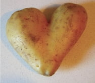 [김기훈 대표의 백그라운드 잉글리쉬] 21. 음식에서 유래된 영어 표현 ①apple, potato