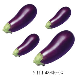  밥맛에서 엉터리까지 ②