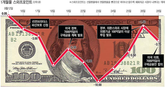 '달러 사재기' 극성땐 환율 1300원 갈수도