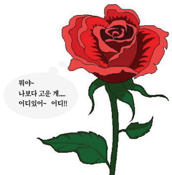  꽃보다 고운 '꽃갑'이라네