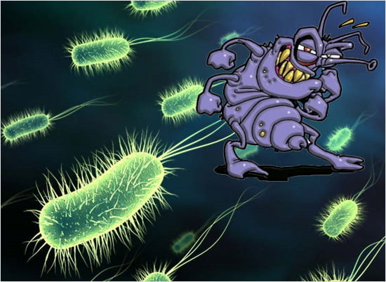  우리 몸엔 세균이 ‘바글바글’… 세균은 인간과 공생한다?