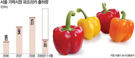 샐러드용 야채 '불황 무풍지대'