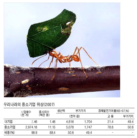 [경제교과서 친구만들기] (20) 중소기업의 위상은? - 경제의 허리，중소기업을 키워가야