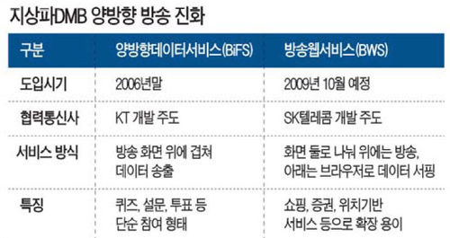 DMB 보면서 쇼핑·뉴스 검색도 한다