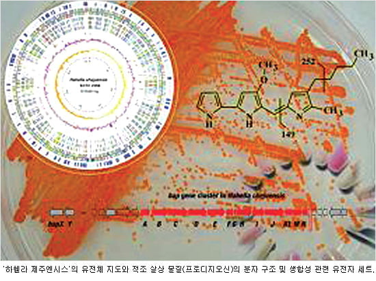 [Science] ‘미생물의 진화’ 수수께끼 풀릴까… 유전체 해독 연구 활발