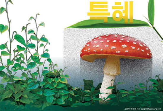 [Cover Story] 경쟁이 있어야 사회 正義가 자란다