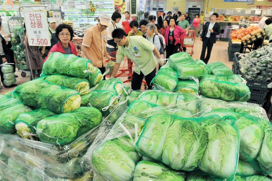 한국 김치대란 탓 中 배추대란 생겨