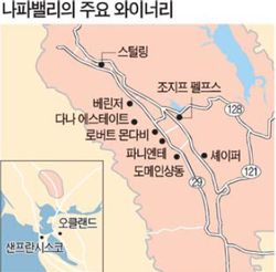 달콤한 포도향에 취해 뭉실한 구름 위의 산책