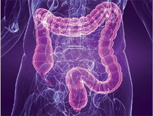 [Science] 장(腸)의 건강 살펴보면 면역력이 좋은지 나쁜지 알 수 있대요!
