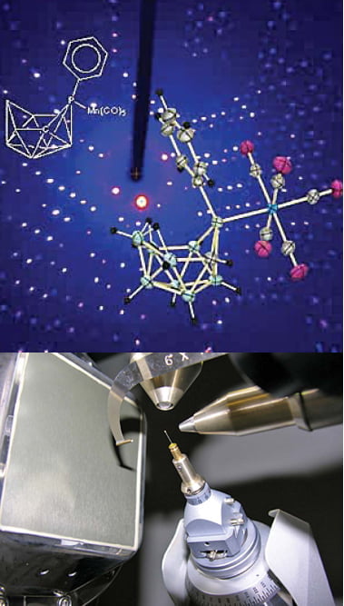 [Science] 선천성 면역 단백질의 비밀 밝힐 'X-레이 결정학'