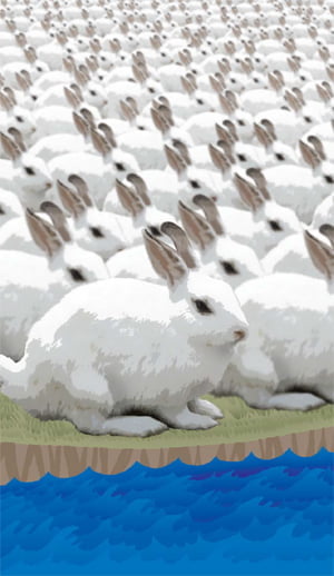 [경제사 뒤집어 읽기] 영국산 토끼 12마리, 호주를 점령하다