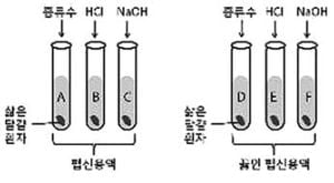 [적성검사 정복하기] (14) 탐구 영역