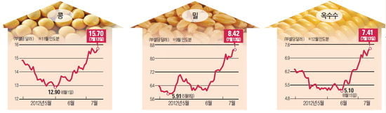 [Global Issue] 급등하는 곡물가격…4년전 식량파동 재연되나
