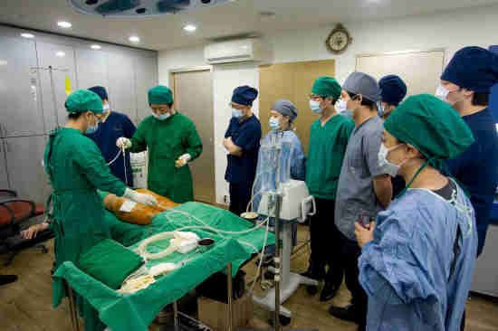 대한줄기세포성형학회, 지방줄기세포 얼굴·가슴성형 공개세미나 성황
