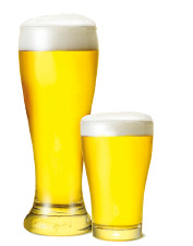 "대동강맥주보다 맛없는 한국 맥주"