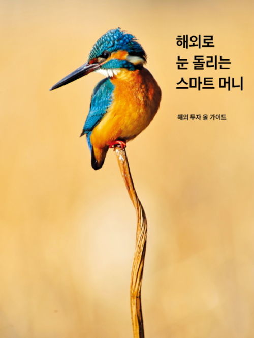 저금리에 증시도 비실 비실…물 건너 투자 '선택' 아닌 '필수'