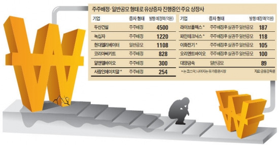 시장 급랭…유상증자 발표한 기업들 '초조'