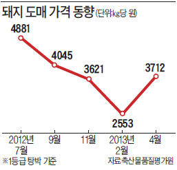 살아나는 돼지값?…보름새 28% 급등