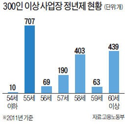 국회 환노위 '60세 정년·임금피크제' 잠정 합의…산업계 "기업부담 늘어 청년고용 더 줄수도"