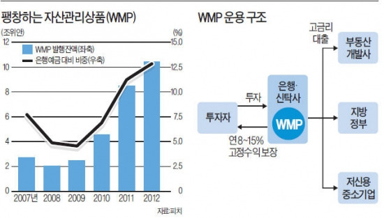 中 히트 금융상품 'WMP'가 수상하다