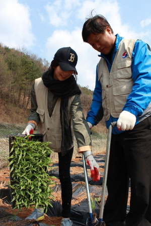 26일 명동리를 찾아 봉사활동을 펼치는 대한항공 임직원들의 모습. / 대한항공 제공