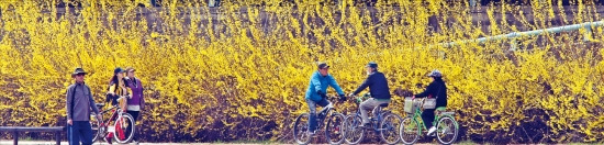 당뇨엔 조깅, 고지혈증엔 수영…'운동궁합' 따로 있어요